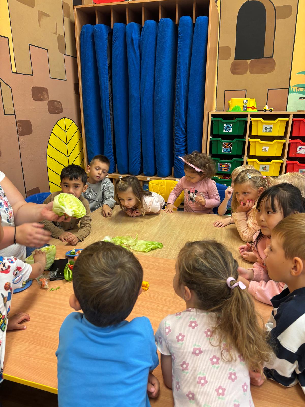 Obrázek WhatsApp, 2025-10-08 v 10.32.48_06646b7a