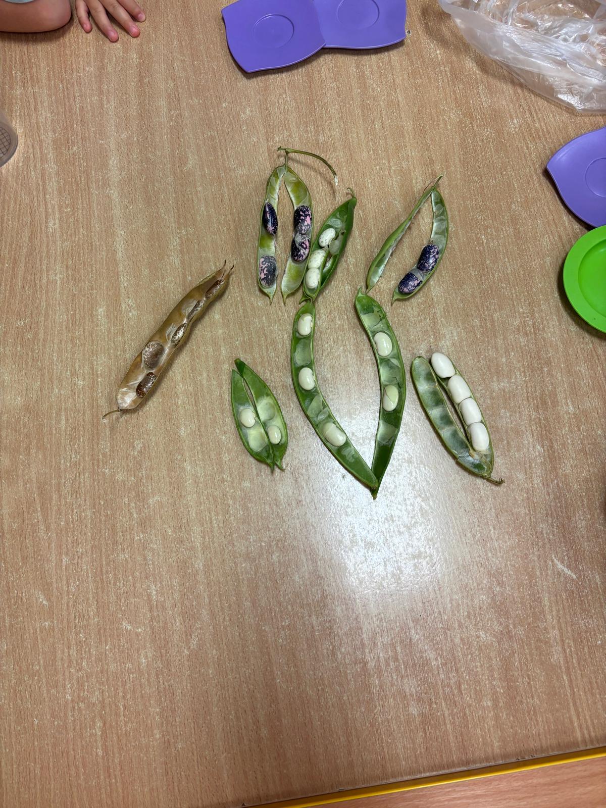 Obrázek WhatsApp, 2025-10-08 v 10.32.49_0eb636a7