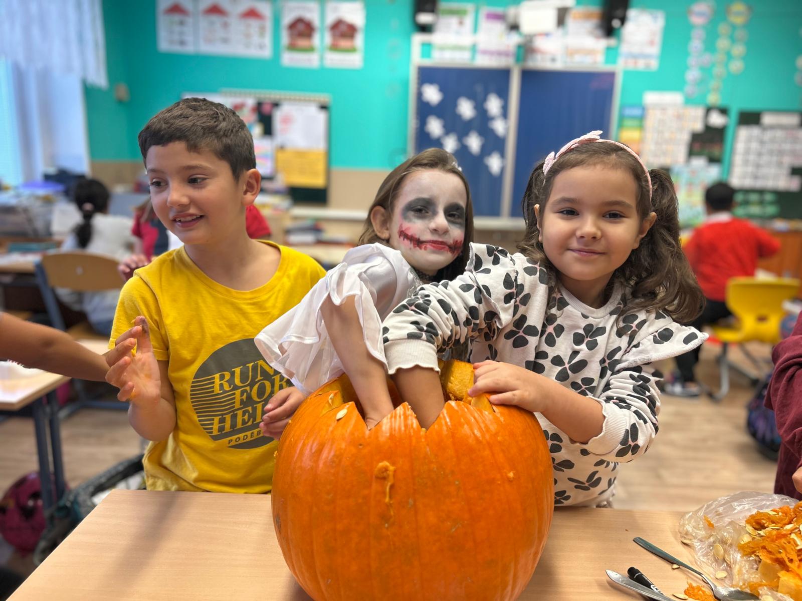 Obrázek WhatsApp, 2025-10-24 v 16.18.16_b4658a6b