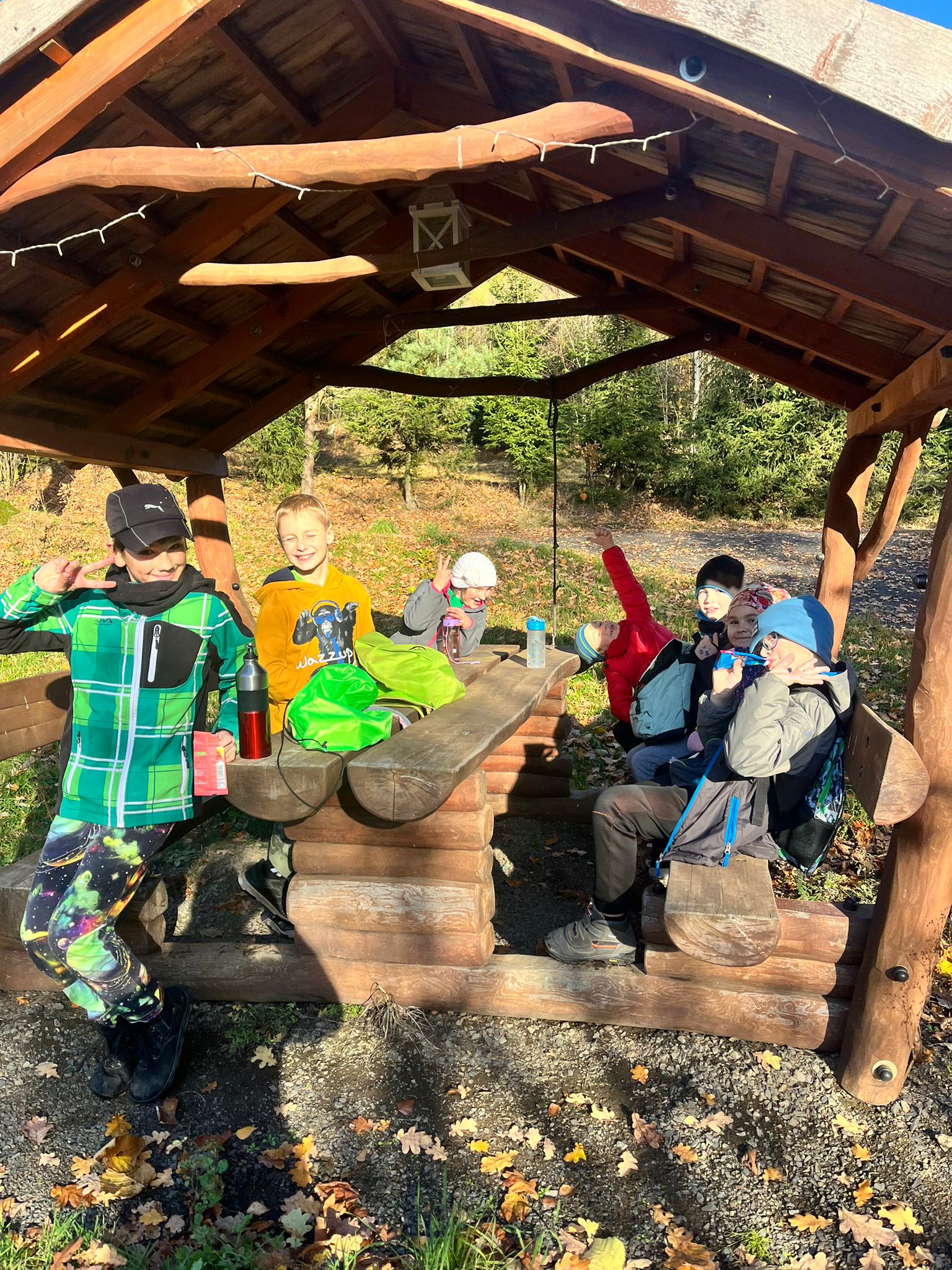 Obrázek WhatsApp, 2025-11-05 v 21.21.48_1c3fae2c