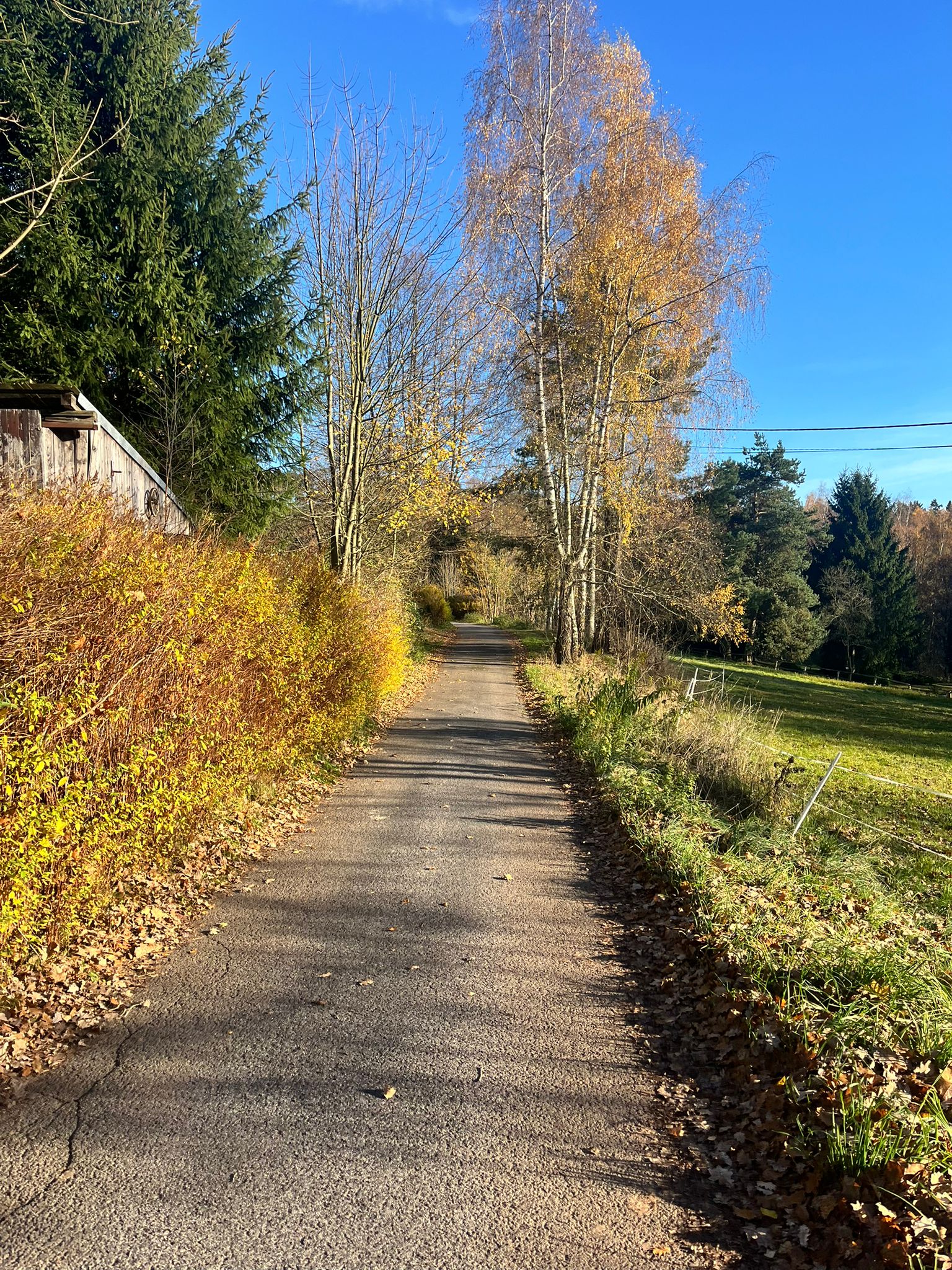 Obrázek WhatsApp, 2025-11-05 v 21.21.48_9014b751