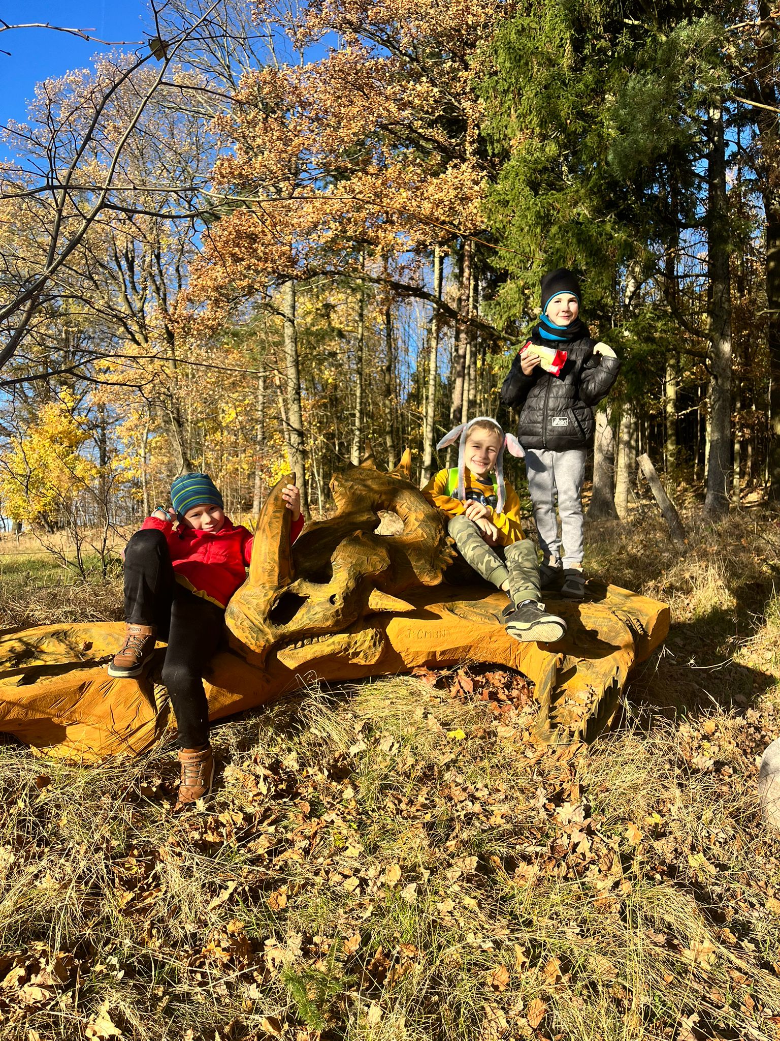 Obrázek WhatsApp, 2025-11-05 v 21.21.48_ce8b0880