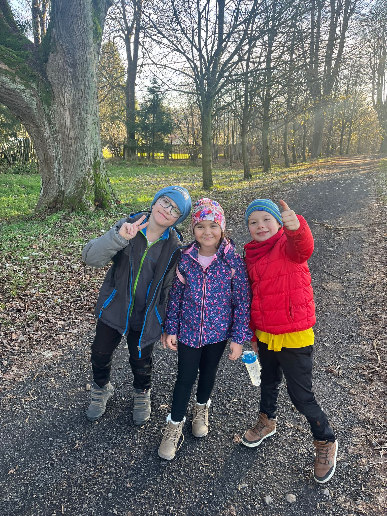 Obrázek WhatsApp, 2025-11-05 v 21.21.49_5f2851e5